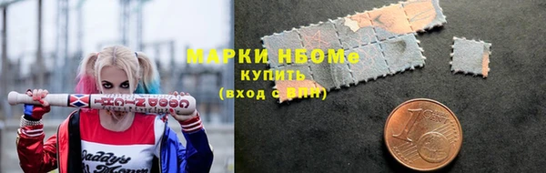 гашик Аркадак