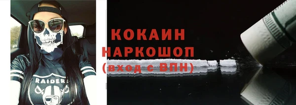гашик Аркадак