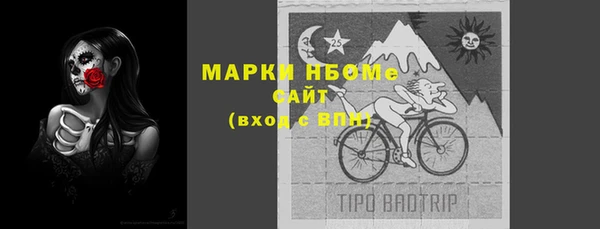гашик Аркадак