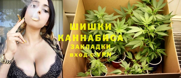 мескалин Арсеньев