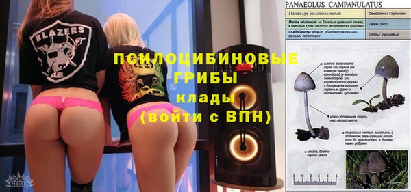 гашик Аркадак